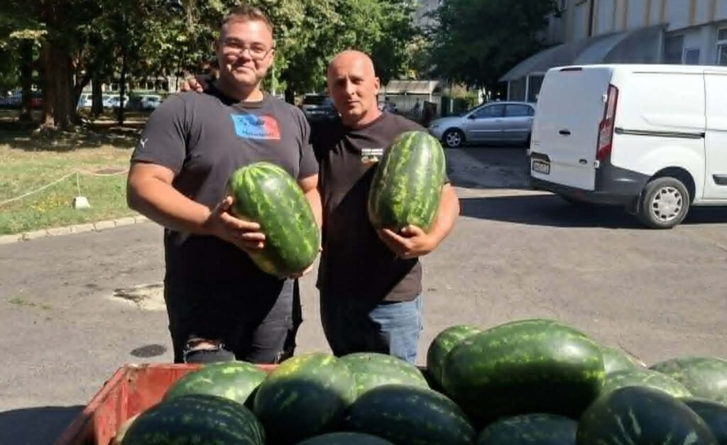 Görögdinnye a betegeknek